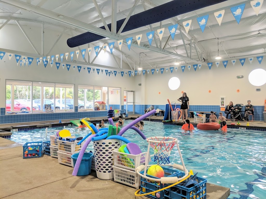  Little Whale Swim School