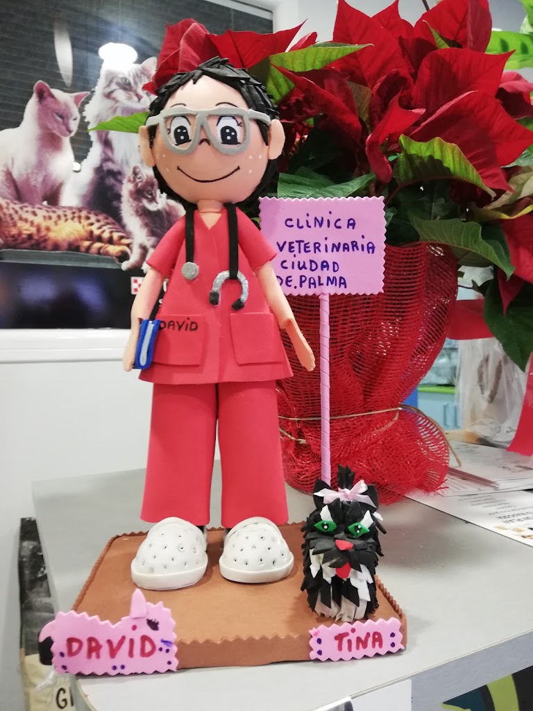 Centro Veterinario Ciudad de Palma — Del propietario