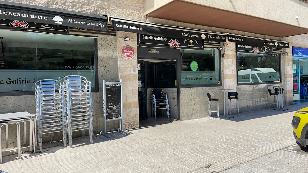 El Encinar De Los Belgas — Del propietario