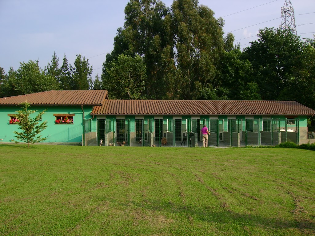 Centro clinico veterinario del Duranguesado