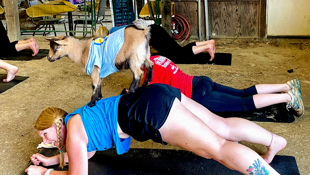  Goat Yoga RVA