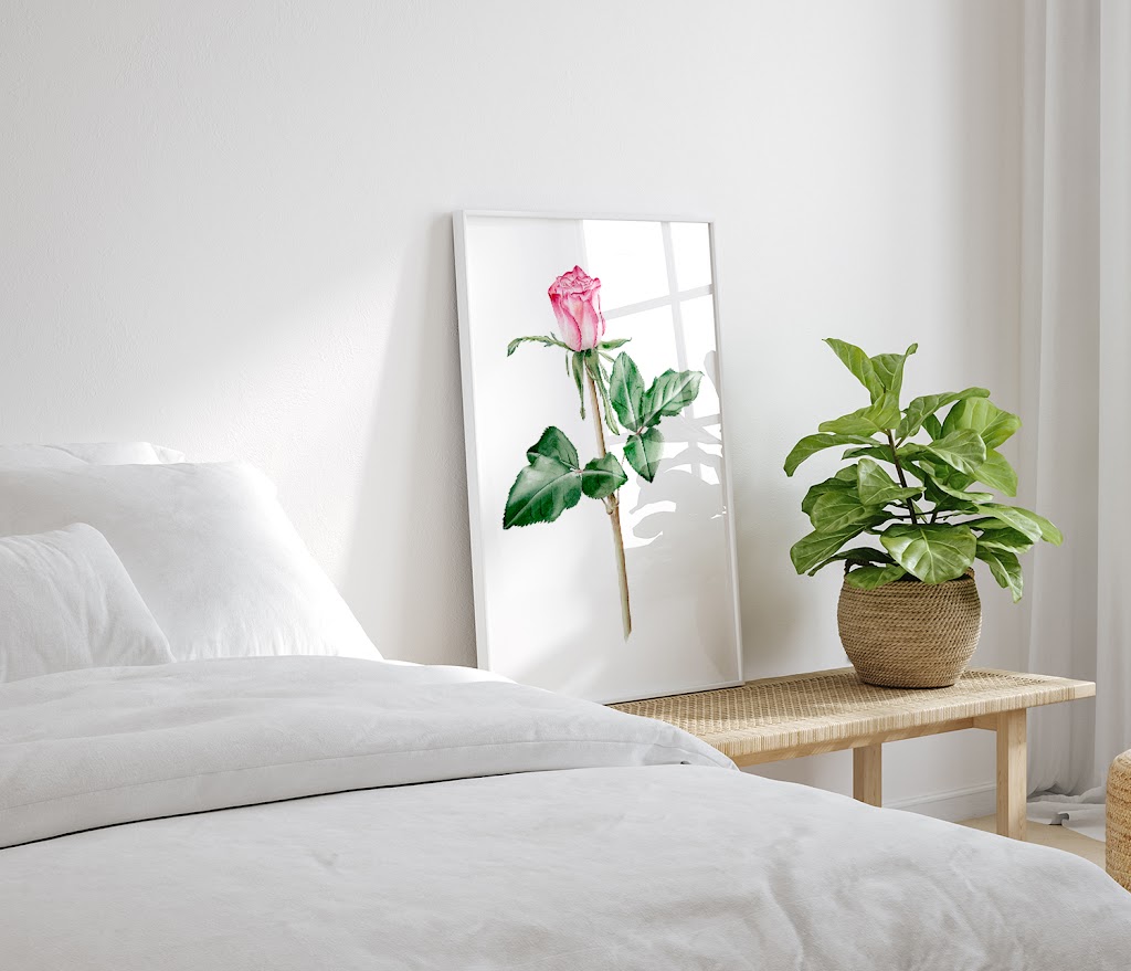 Ilustraciones en acuarela | Silicula