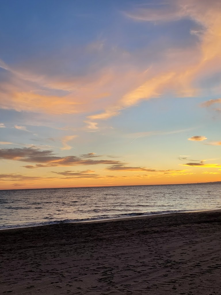 Asociacion DYAR (Descubrir y Aprender)