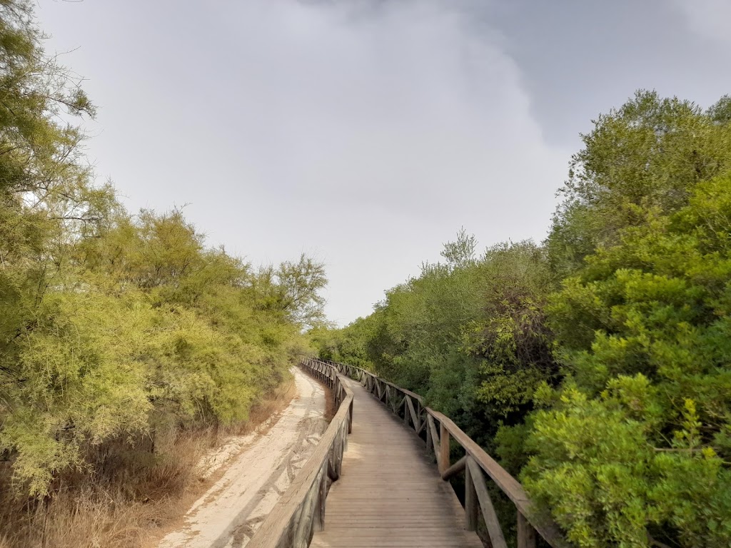 Sendero Laguna de Medina