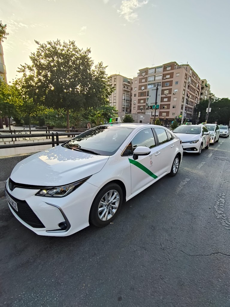 Taxi Z3 La Zubia