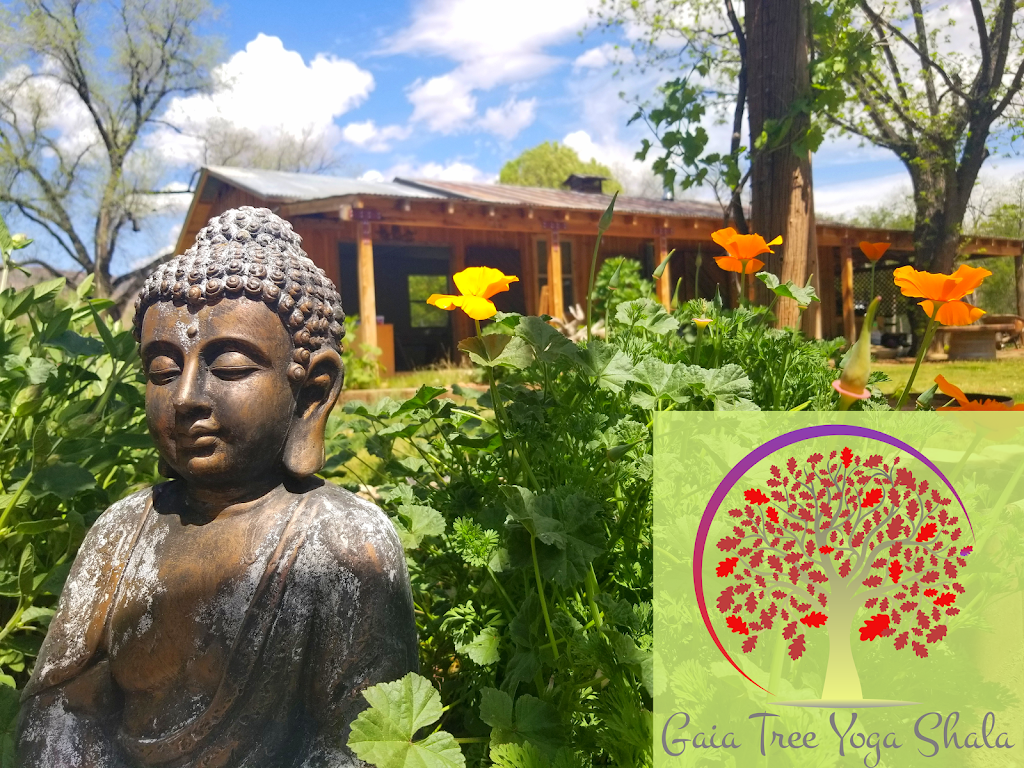  Gaia Tree wellness: Yoga & Ayurveda