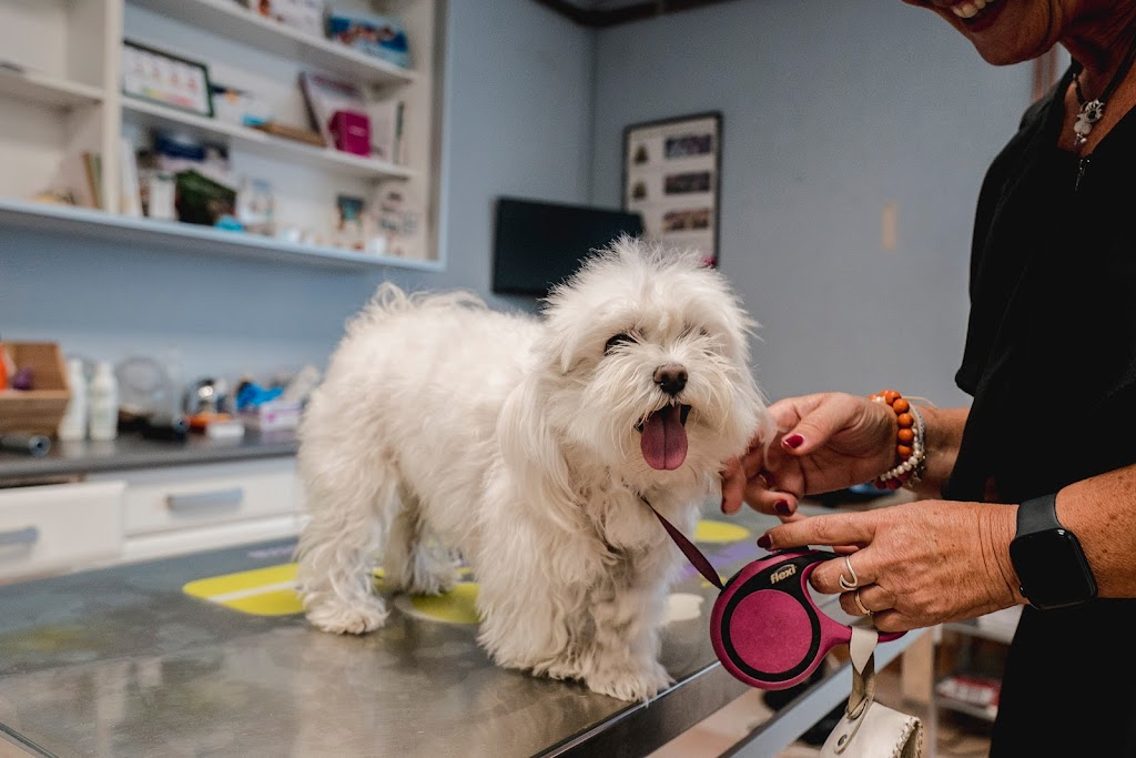 Clinica Veterinaria Castanos