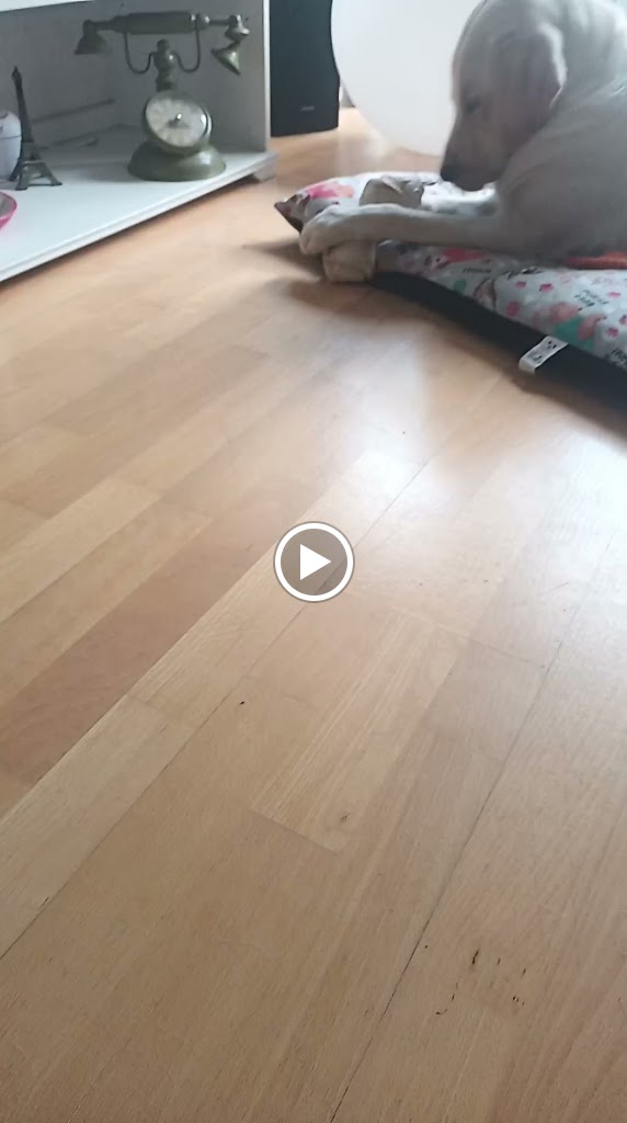 Videos