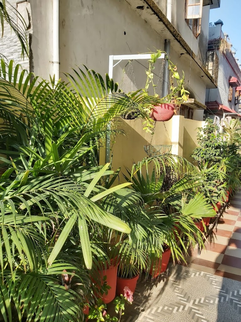 Nature View Homestay