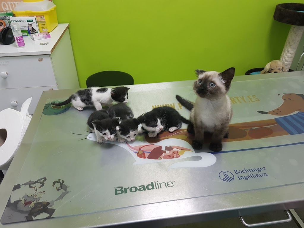 Clinica Veterinaria La Roda