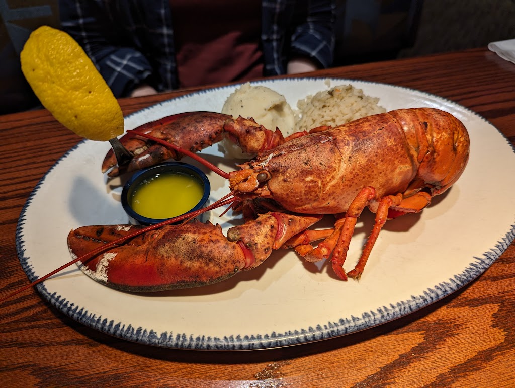 Lobster