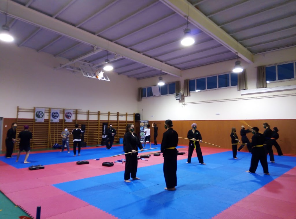 OSDAM (Organizacion Solidaria de Artes Marciales) — Arte marcial