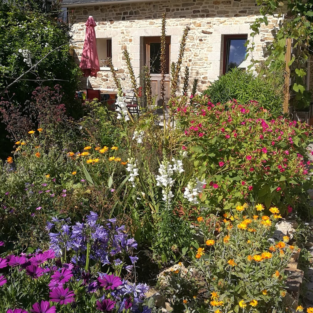Gite La Ptite Maison D Isa