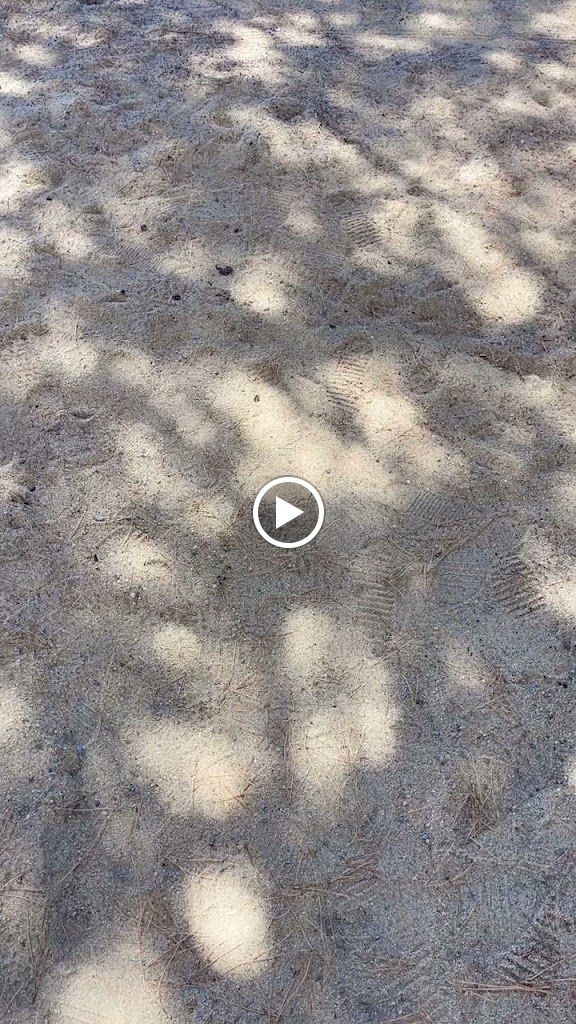 Chiringuito Azul — Videos