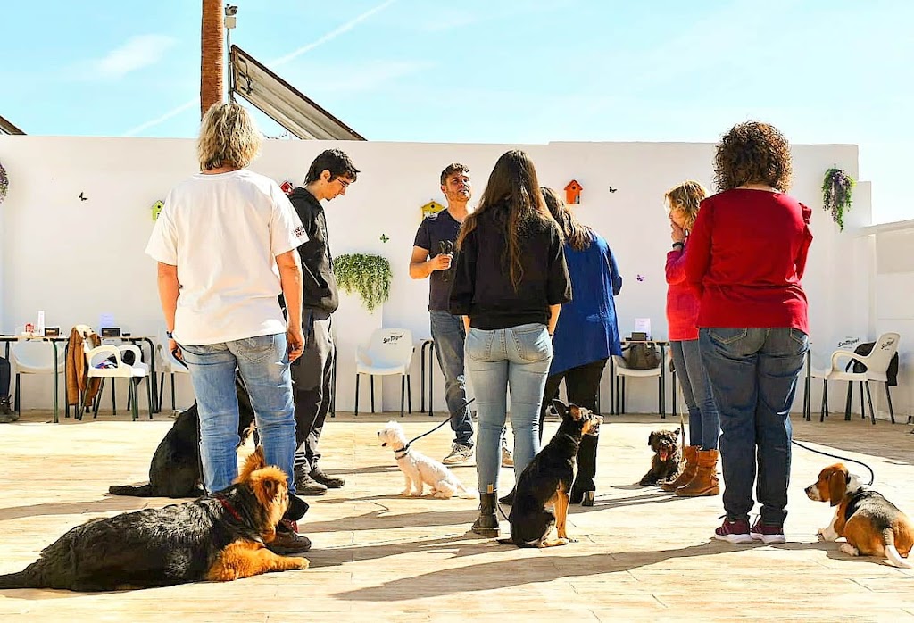 Escuela Educacion Canina El PARQUE