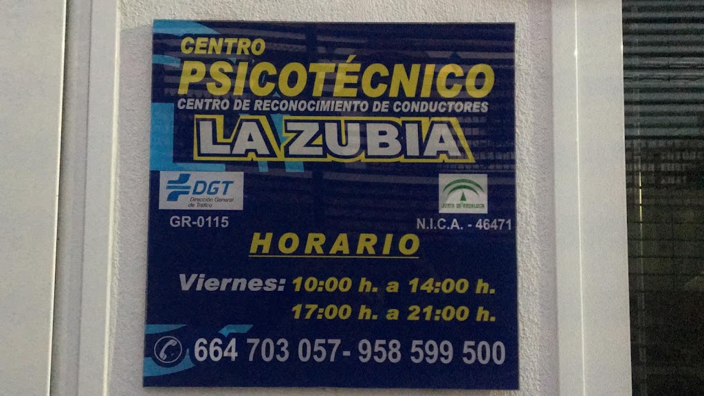 PSICOTECNICO LA ZUBIA — Del propietario