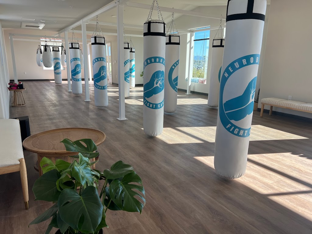  Neuroboxing Fight Camp