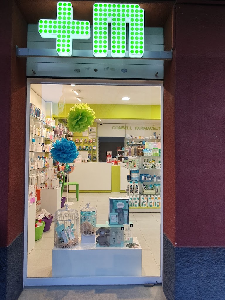 Montserrat Macia Goni