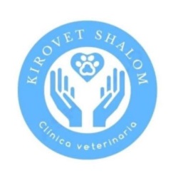 Clinica Veterinaria Kirovet Shalom S.L. — Mas recientes