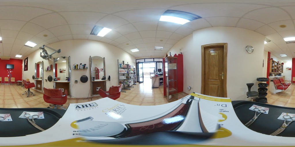 Nestor Peluqueros — Street View y 360deg