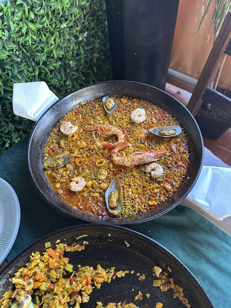 El Paladar Gastro-Bar — Mas recientes