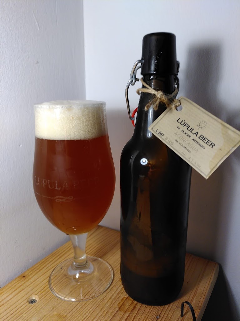 Cerveceria Lupula Beer — Del propietario