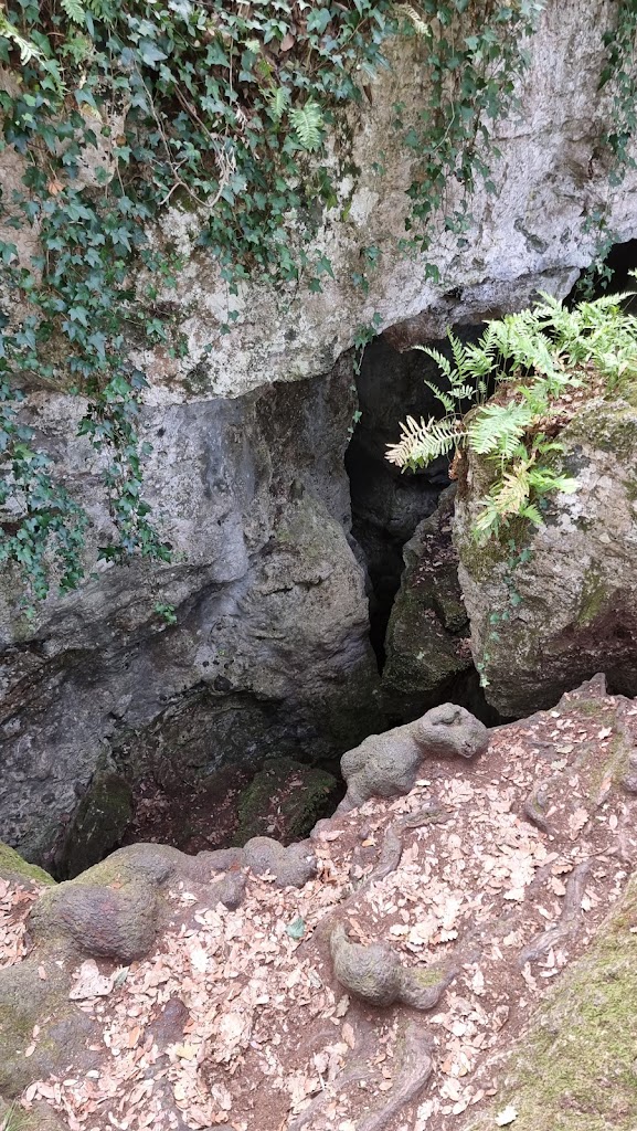 Bosque de Las Estunas