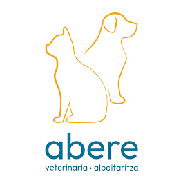 ABERE Clinica Veterinaria-Albaitaritza (Tolosa) — Perro