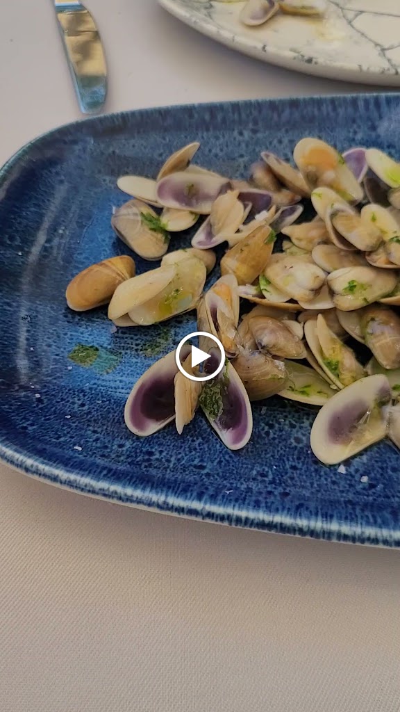 Octopus Pompeu Fabra — Videos