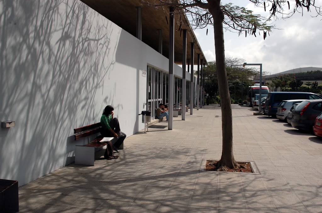 Facultad de Veterinaria ULPGC — Del propietario
