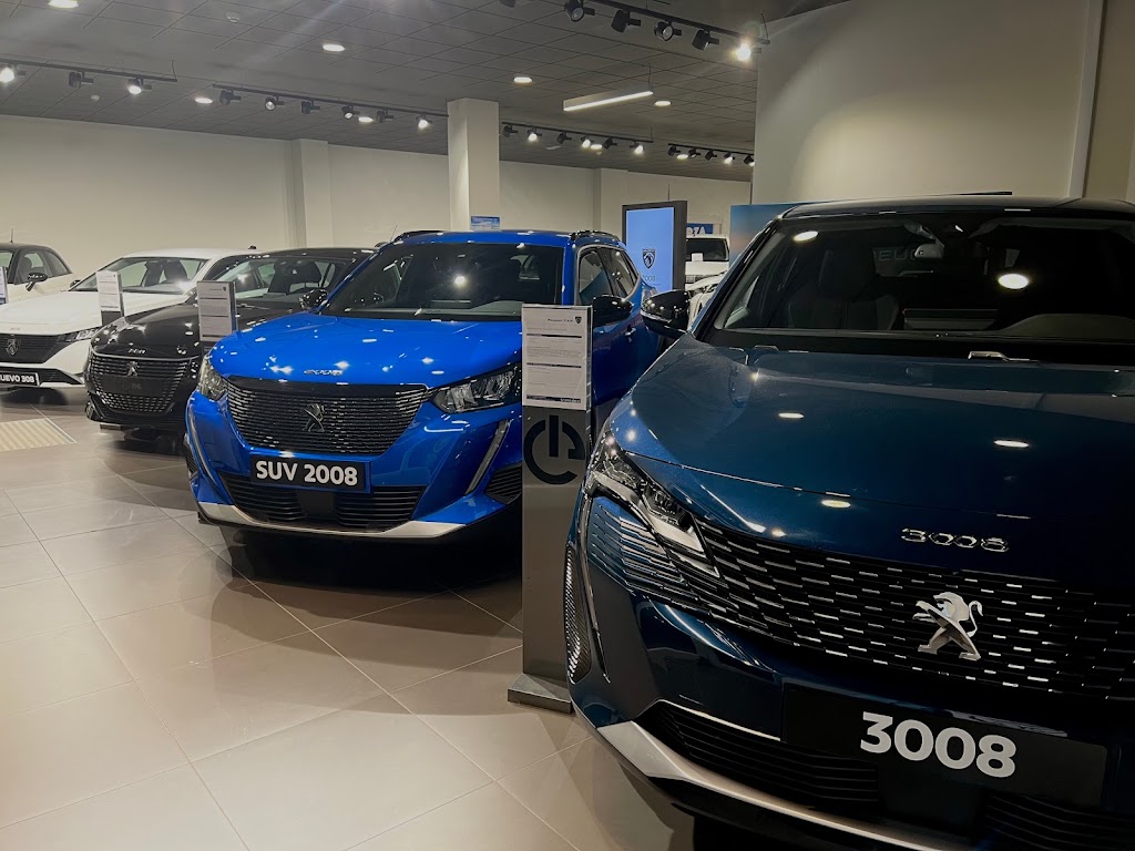 Carza Gipuzkoa Peugeot — Del propietario