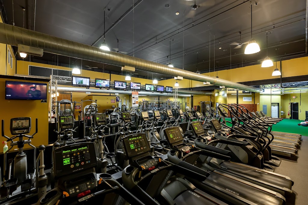  The Zoo Health Club, Bedford NH