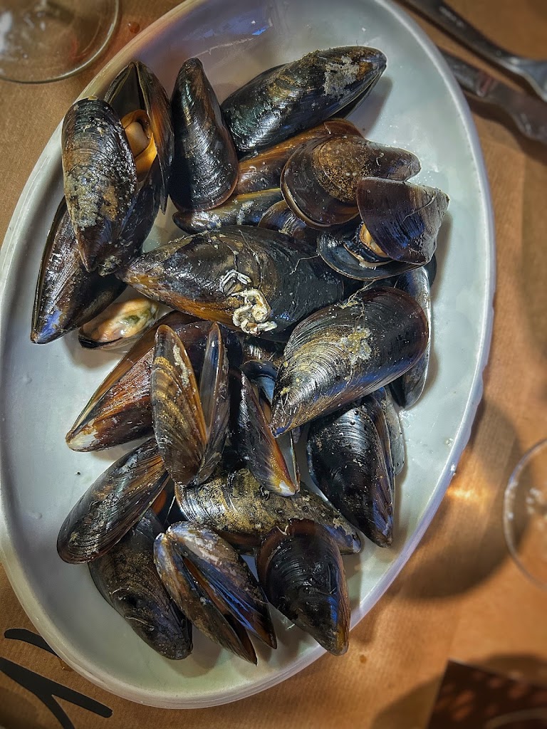 Meson A Marola — Mytiloida