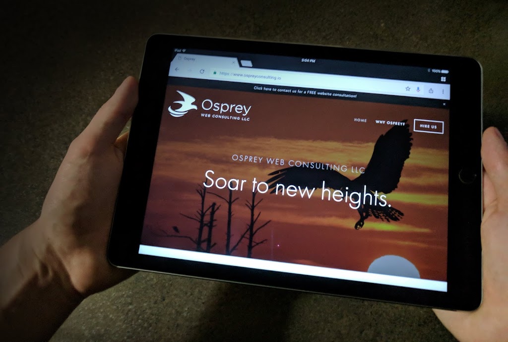 Osprey Web Consulting Llc