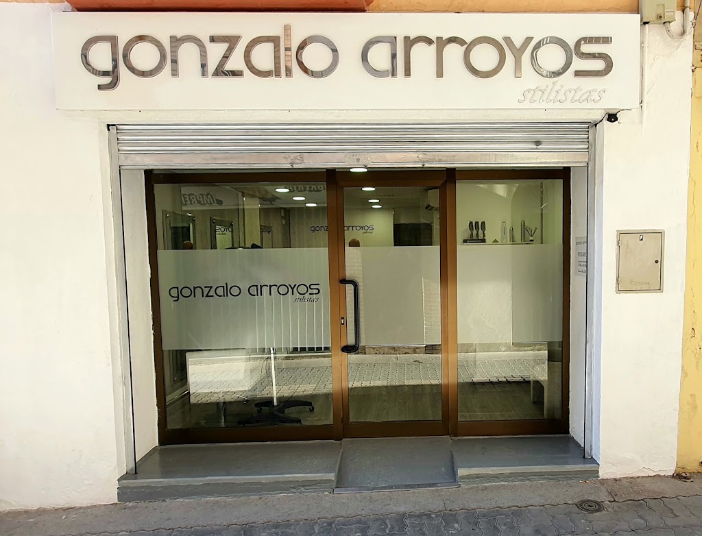 Gonzalo Arroyos Stilistas — Exterior