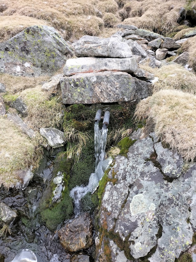 Fuente del batallon alpino