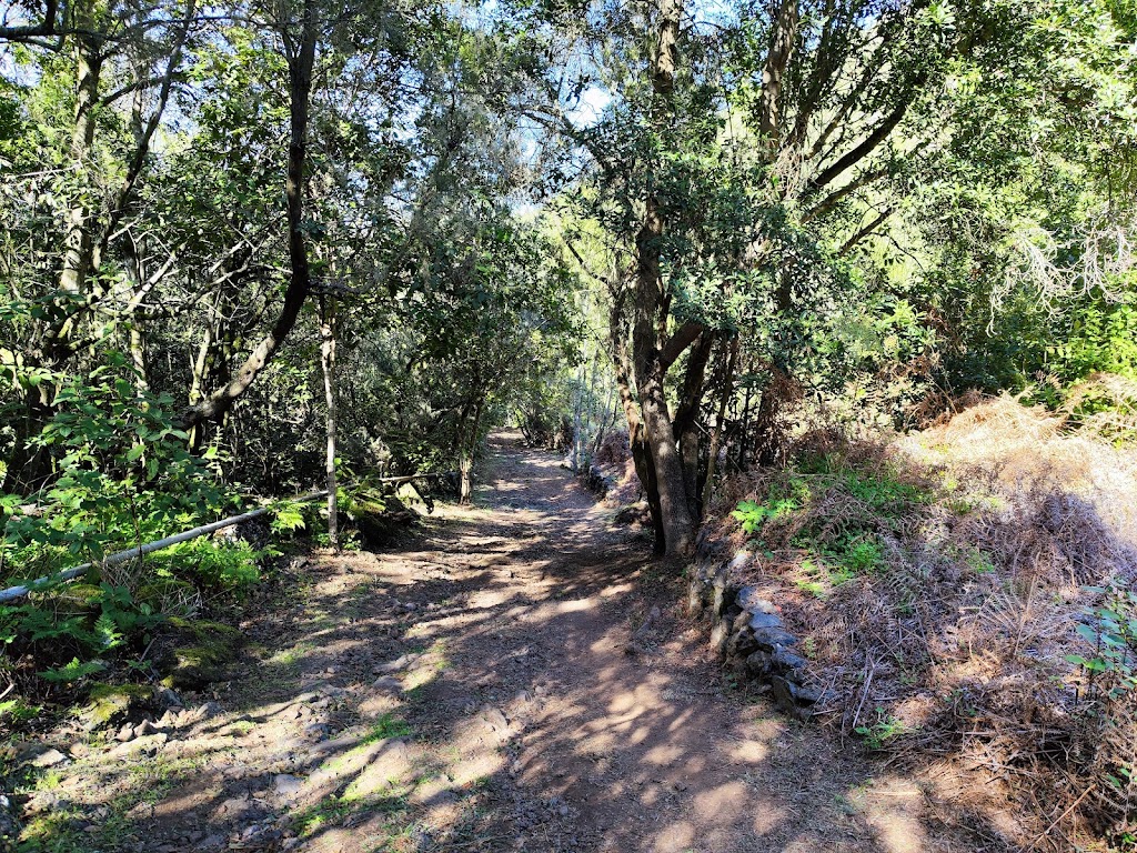 Sendero Cuevas Negras