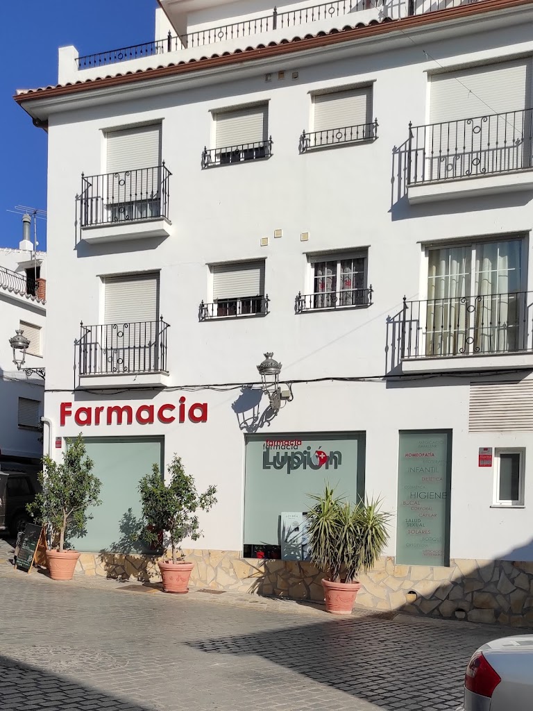 Mercedes Lupion Cortes