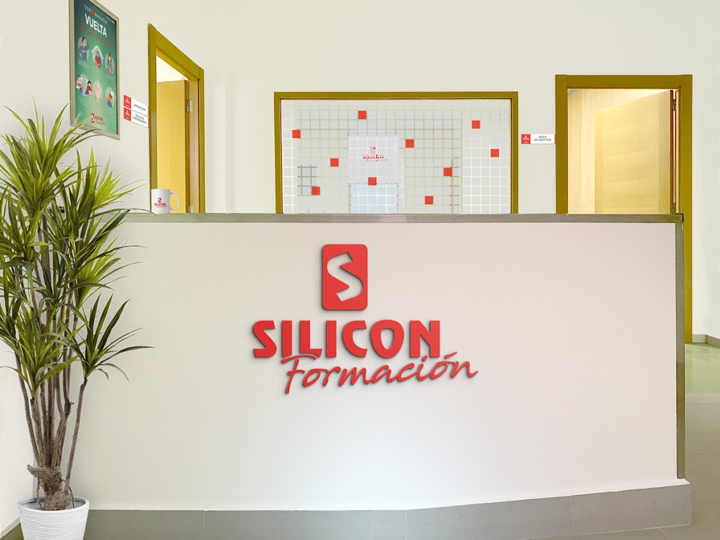 Silicon Informatica y Formacion — Del propietario