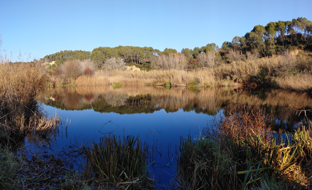 Aiguamolls del Moli Vermell