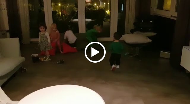 Bar Fuji — Videos