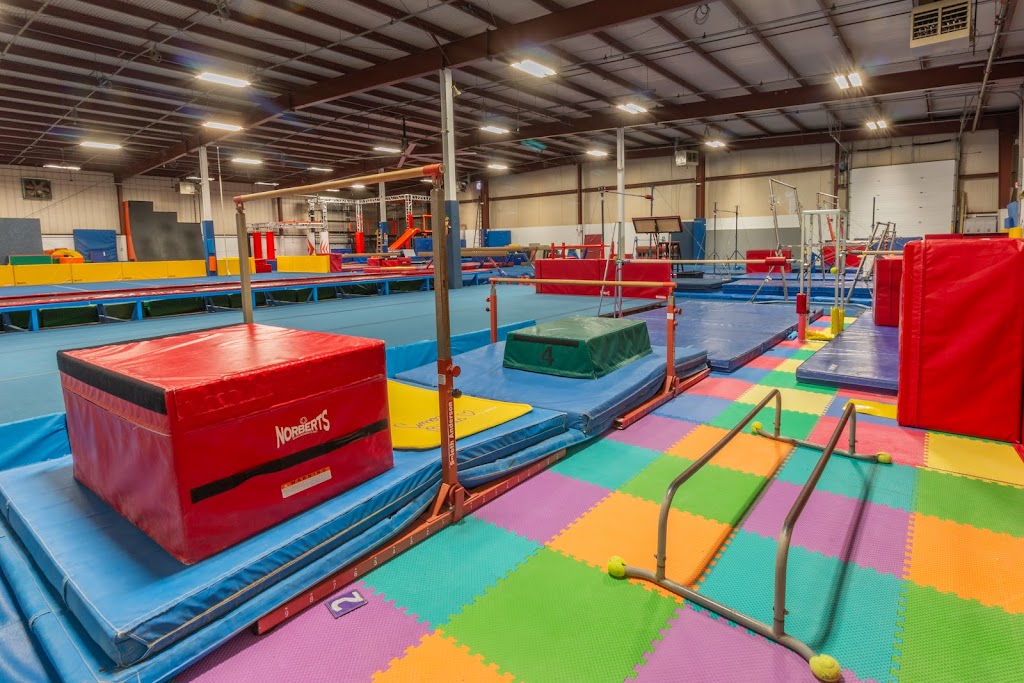  Champion Gymnastics Ann Arbor