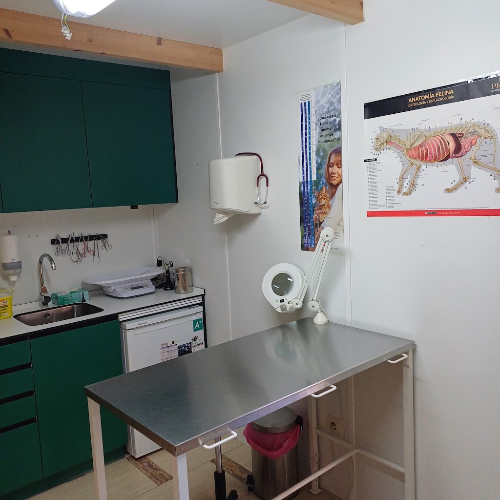 CENTRO VETERINARIO EL VIEJO PASTOR