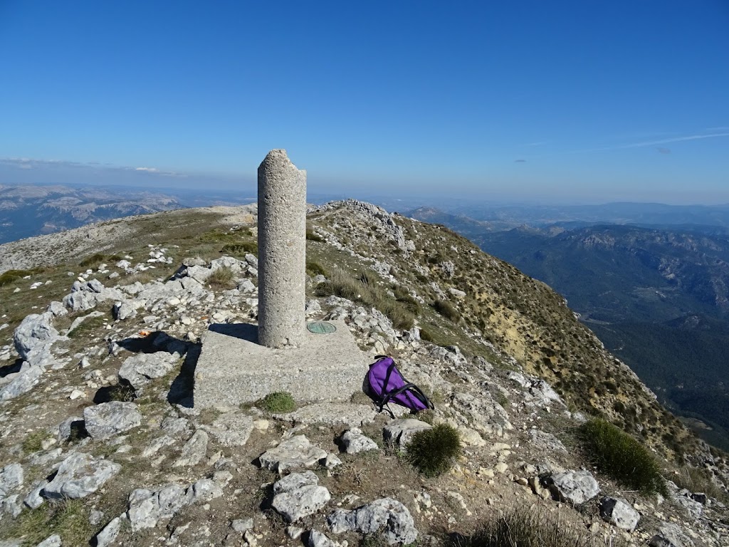 Pico Mentiras