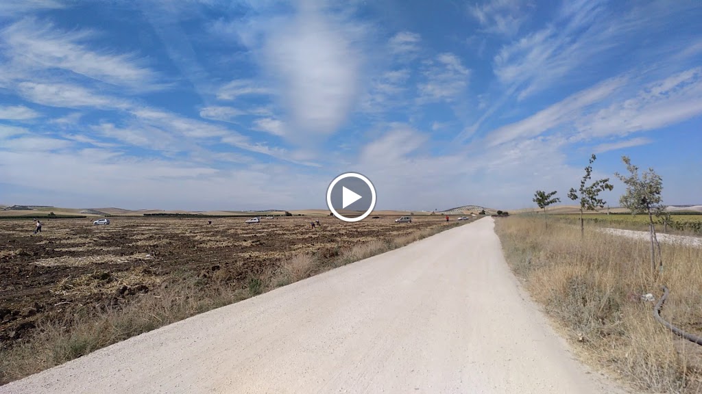 Via Verde Marchena-Fuentes de Andalucia — Videos