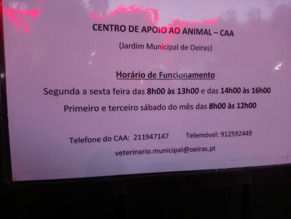 Foto da avaliação