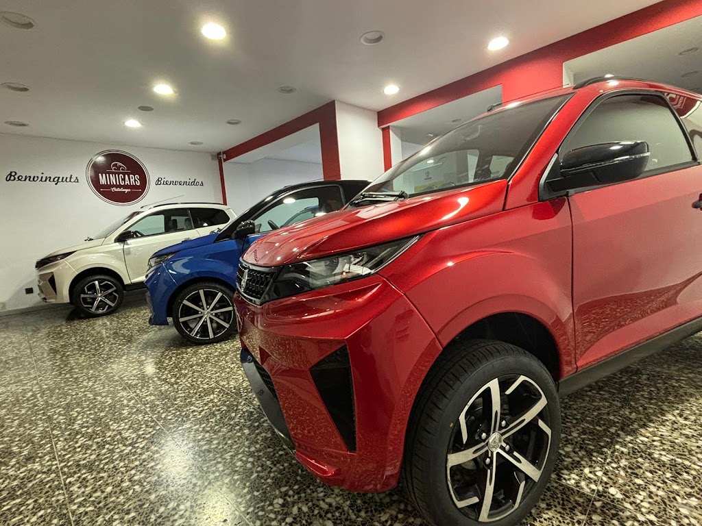 Minicars Catalunya S.L. — Concesionario de automoviles