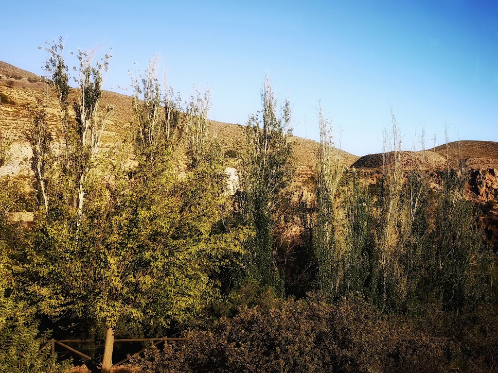 Ruta del agua y el castanar de Paterna