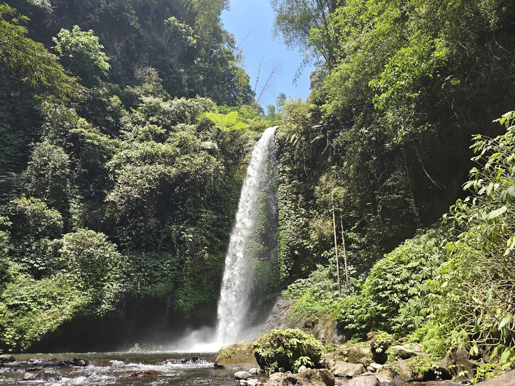 Benjor Pine Camping Ground