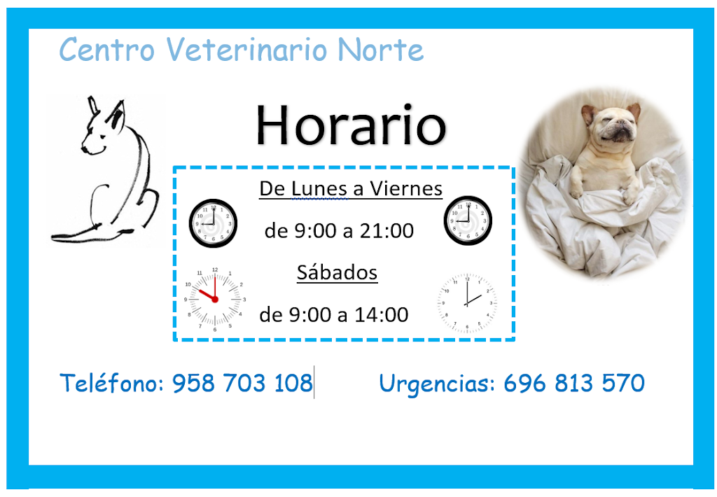 Centro Veterinario Norte Baza — Del propietario